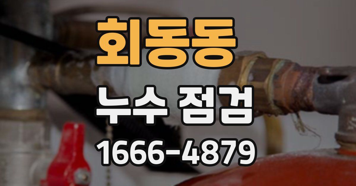 회동동 누수 점검