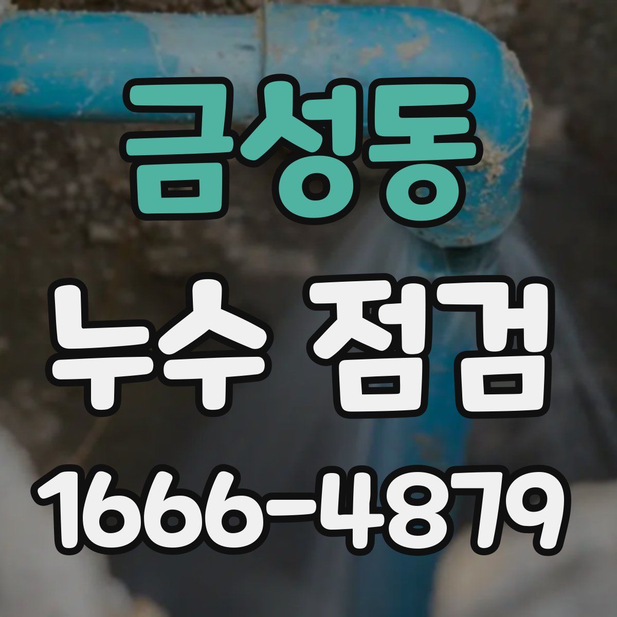 금성동 누수 점검