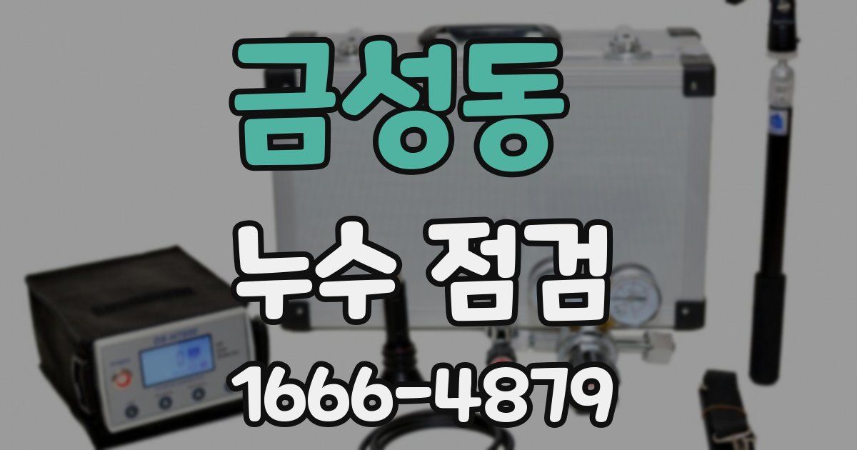 금성동 누수 점검