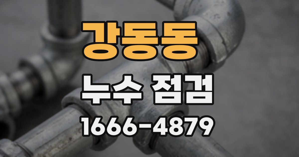 강동동 누수 점검