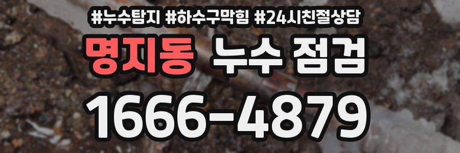 명지동 누수 점검