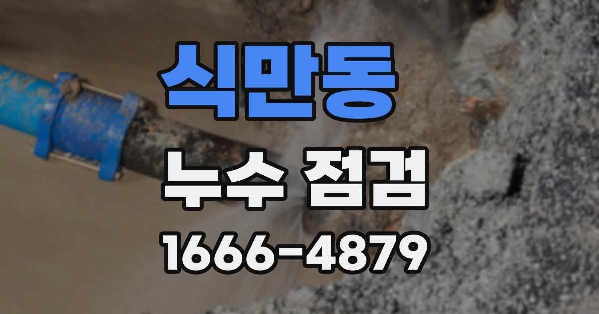 식만동 누수 점검