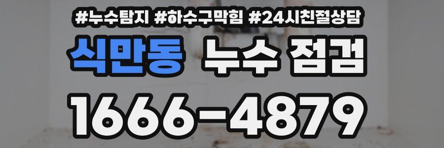 식만동 누수 점검