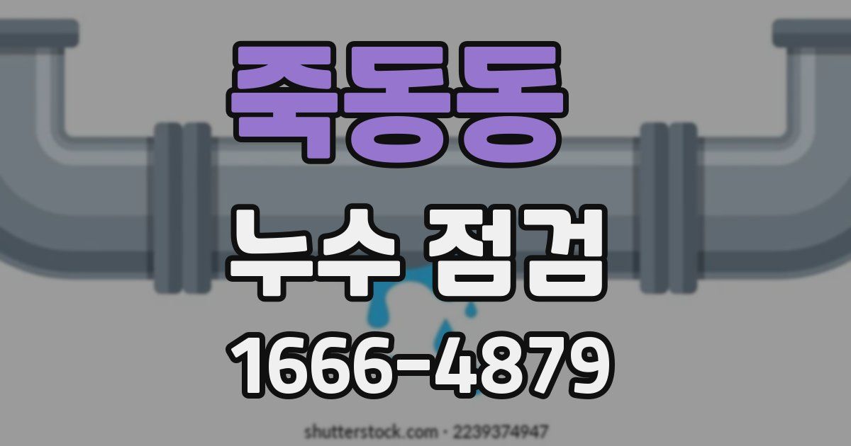 죽동동 누수 점검