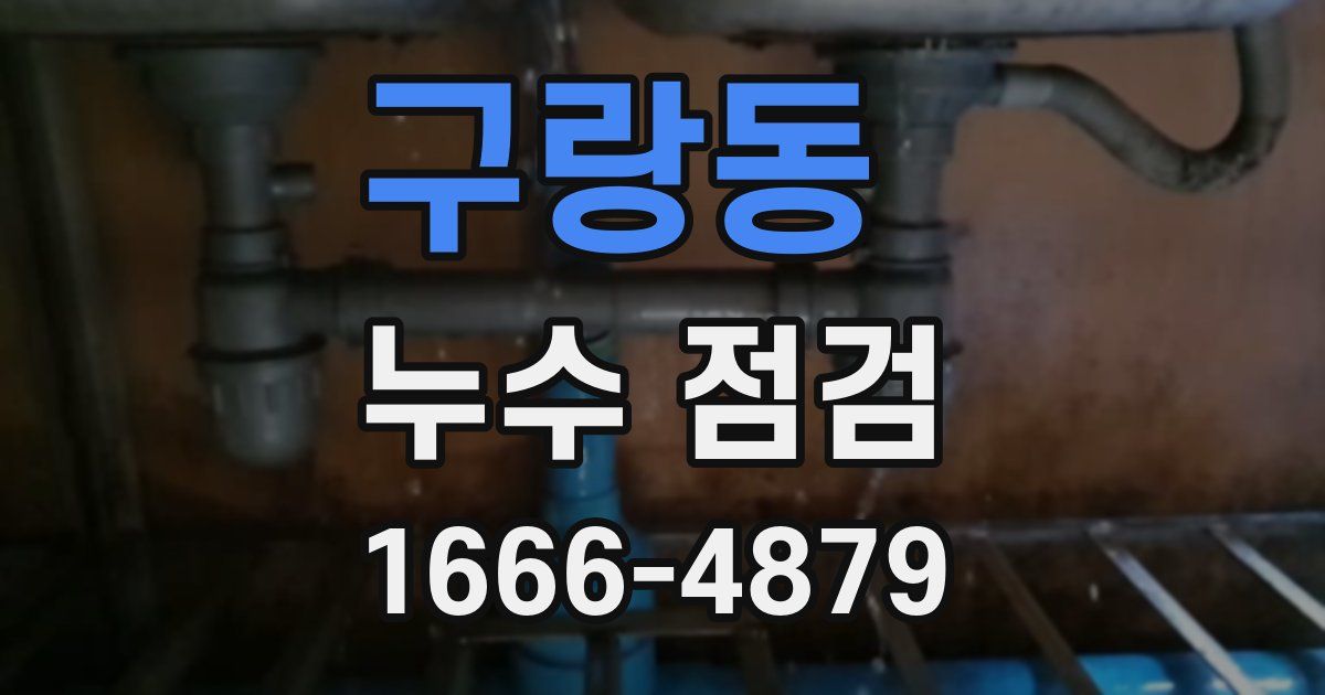 구랑동 누수 점검