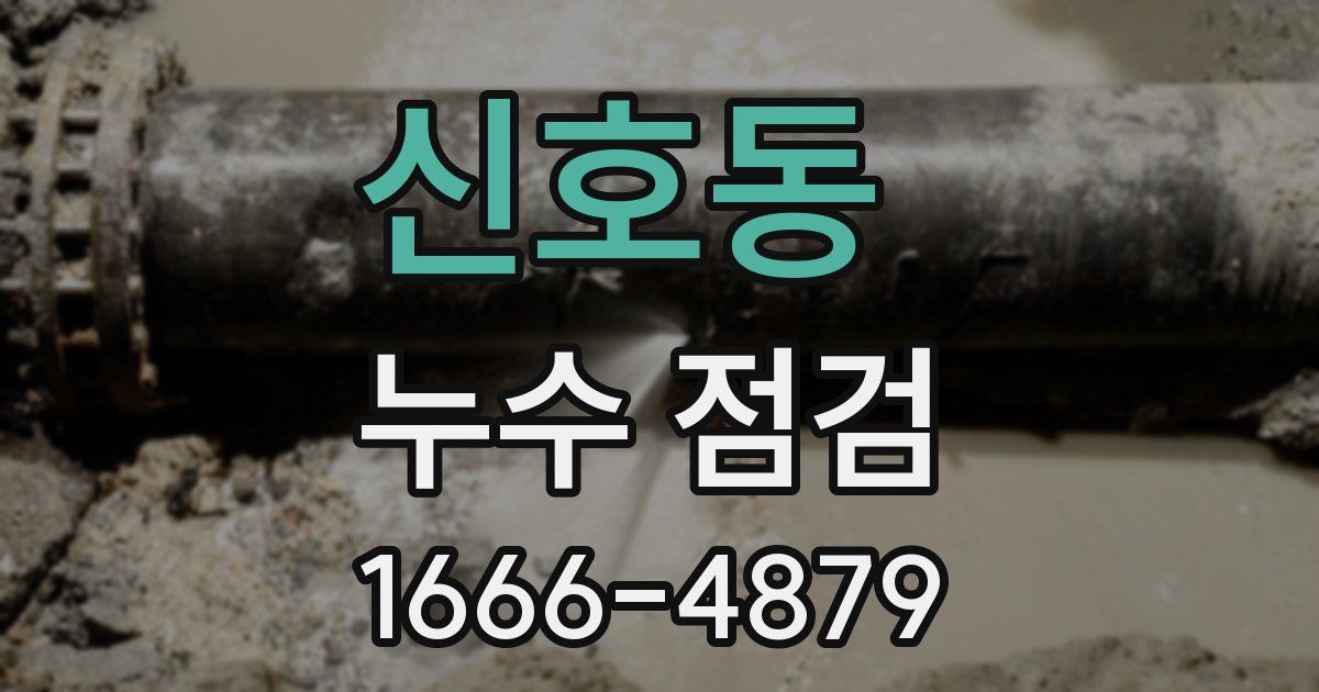 신호동 누수 점검