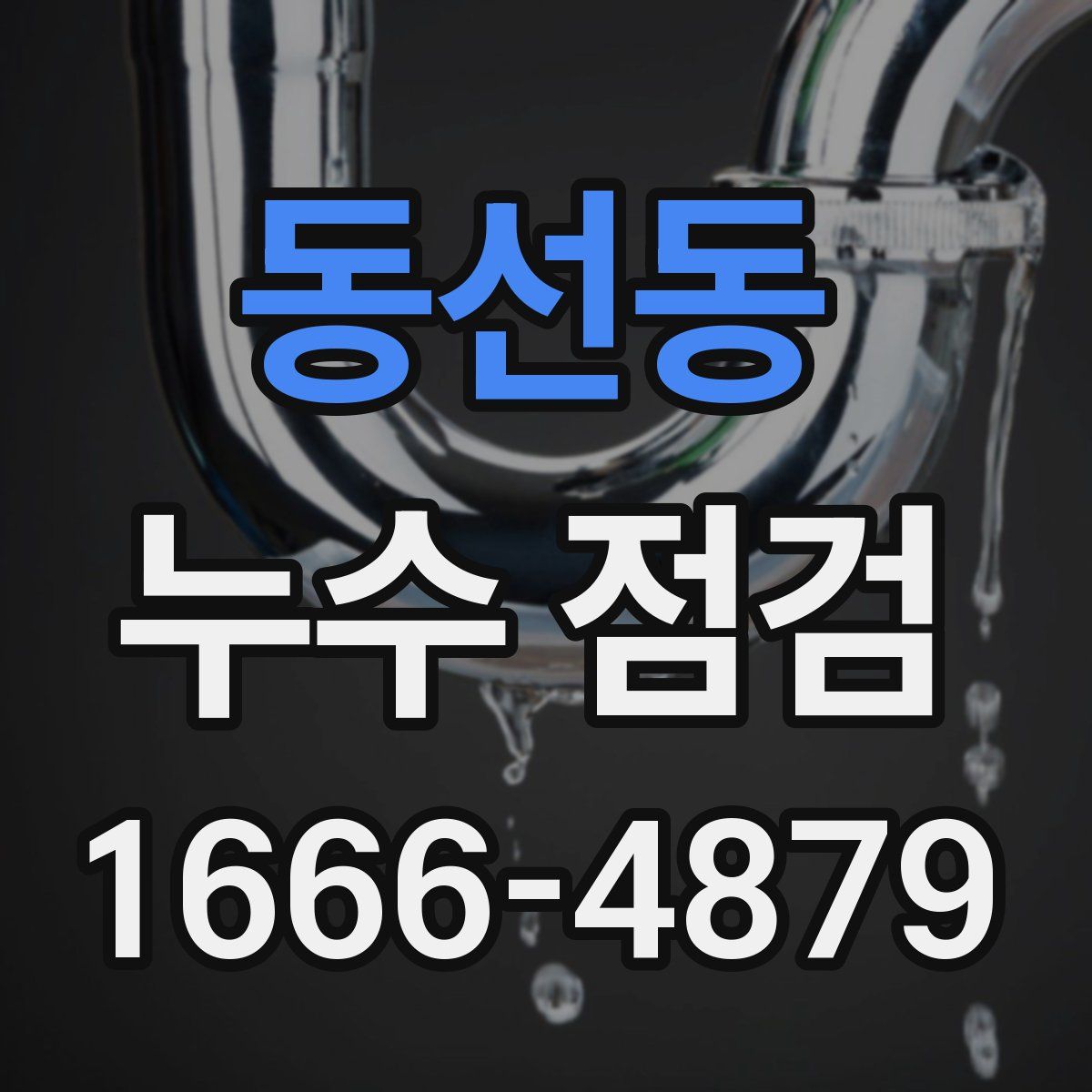 동선동 누수 점검