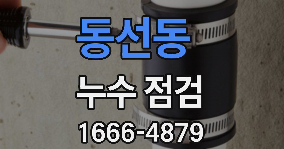동선동 누수 점검