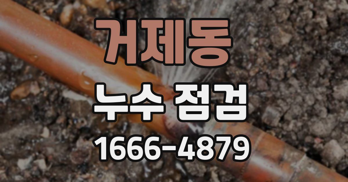 거제동 누수 점검