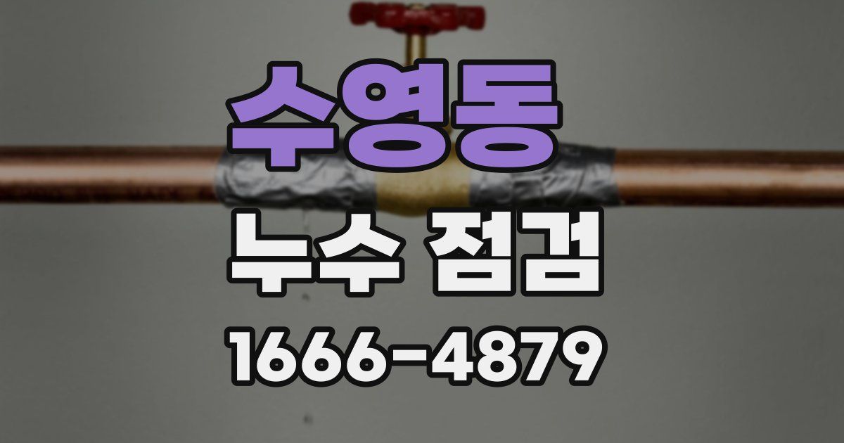 수영동 누수 점검