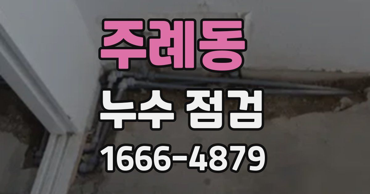 주례동 누수 점검