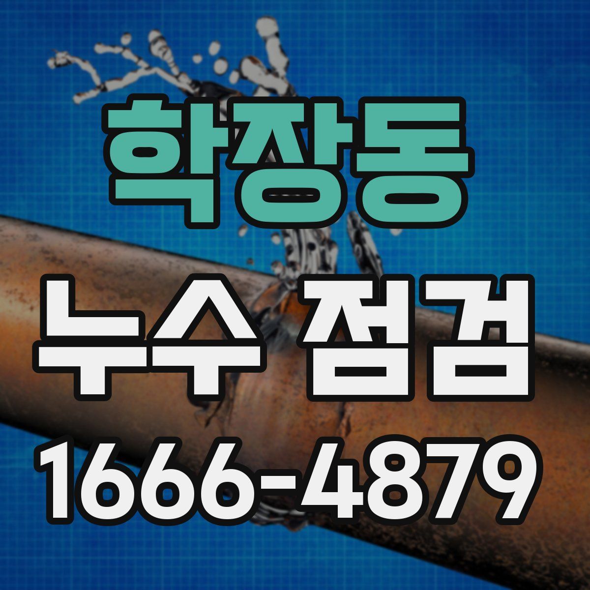 학장동 누수 점검