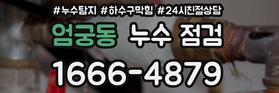 엄궁동 누수 점검