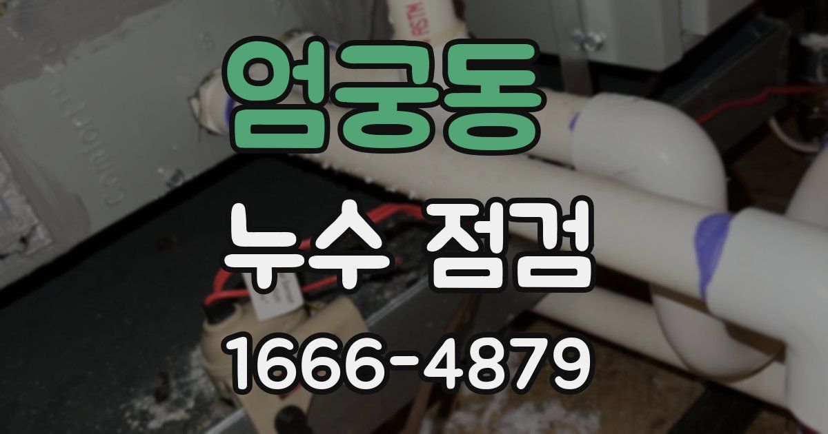 엄궁동 누수 점검