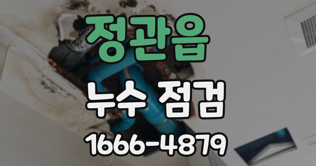 정관읍 누수 점검