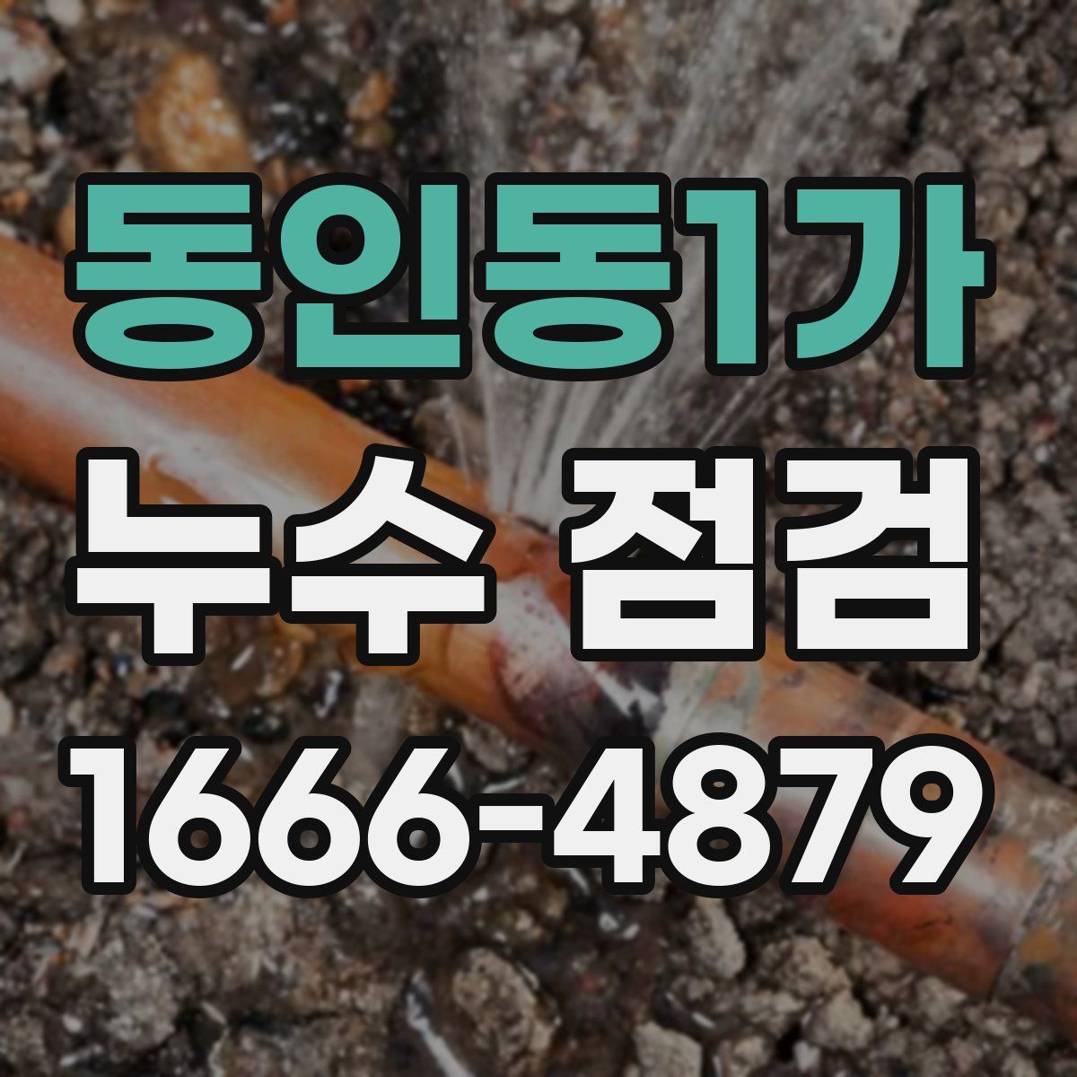 동인동1가 누수 점검