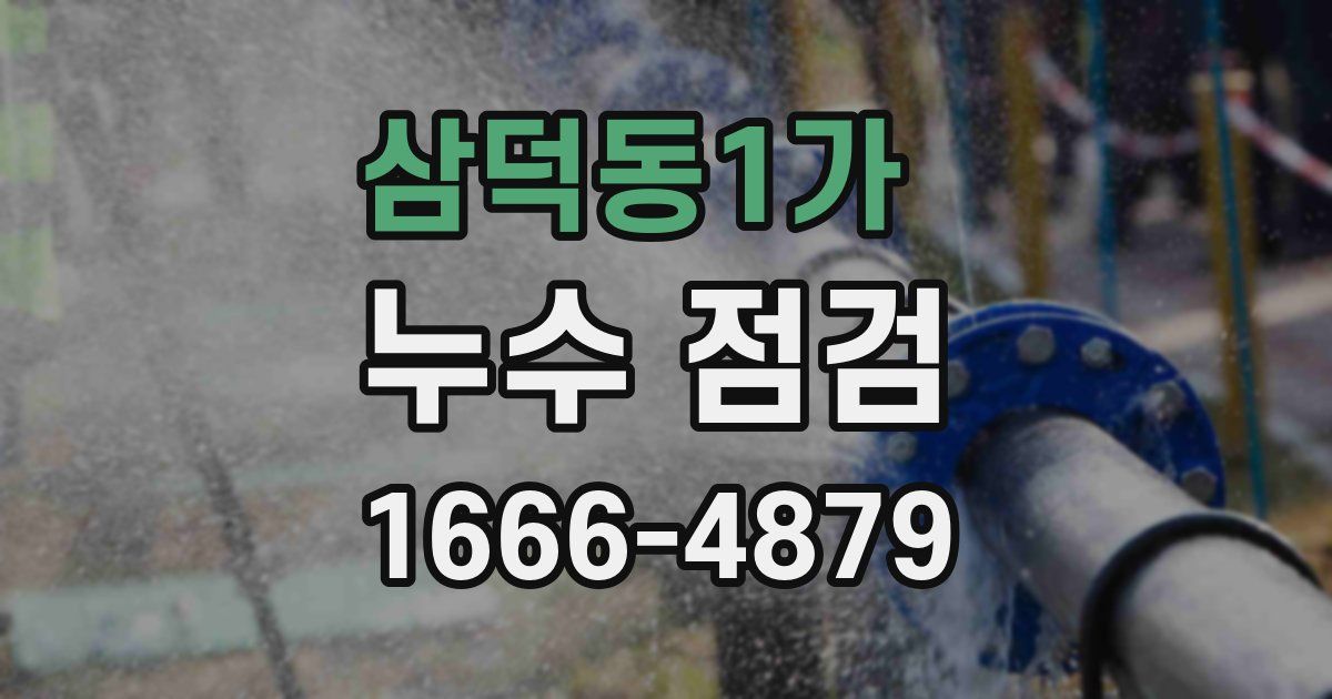 삼덕동1가 누수 점검