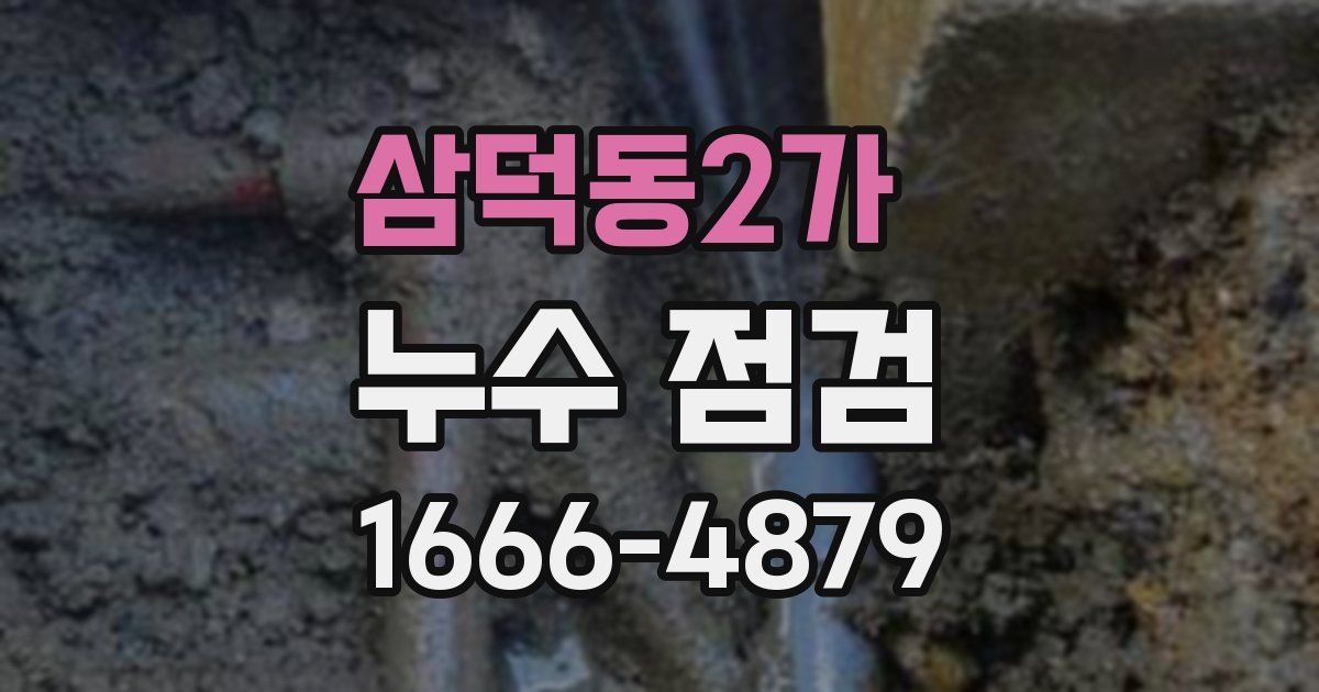 삼덕동2가 누수 점검