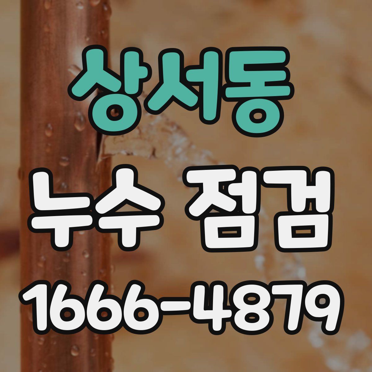상서동 누수 점검