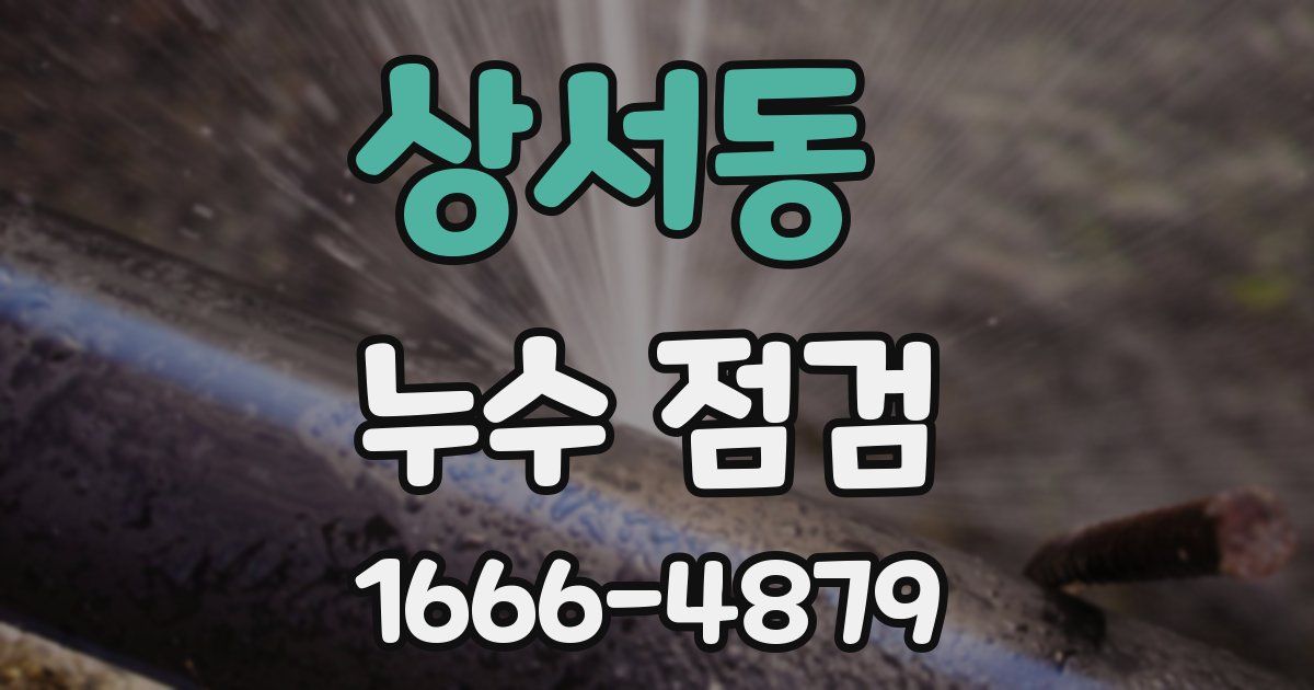 상서동 누수 점검