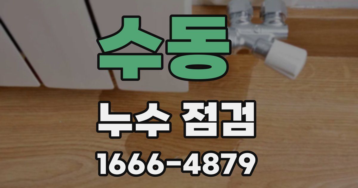 수동 누수 점검