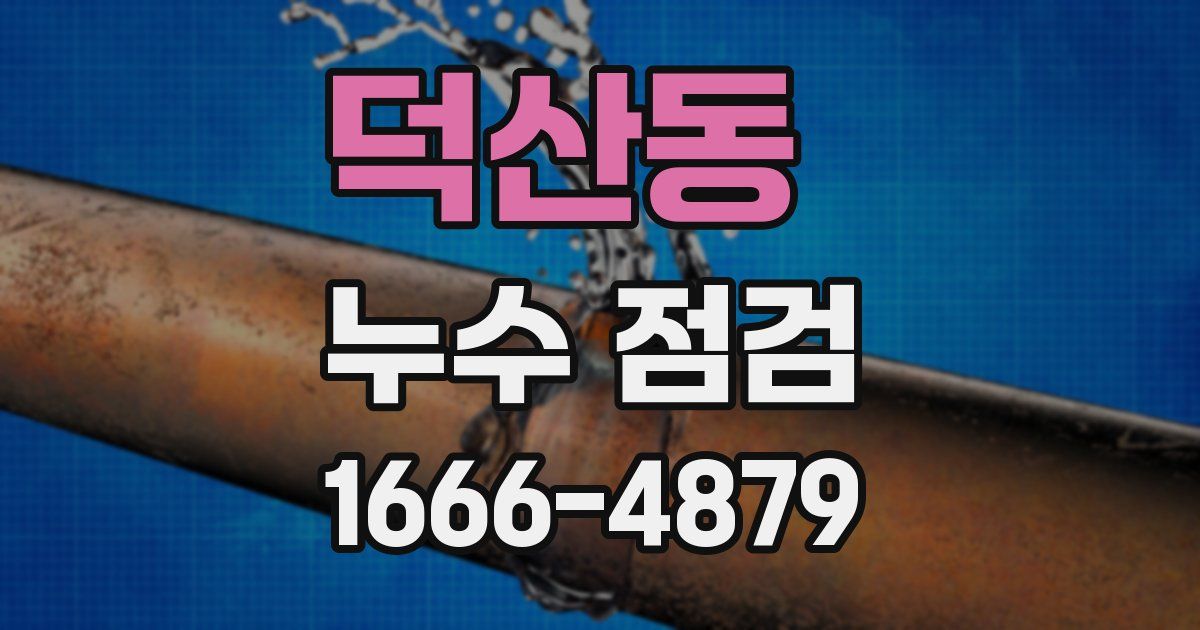 덕산동 누수 점검