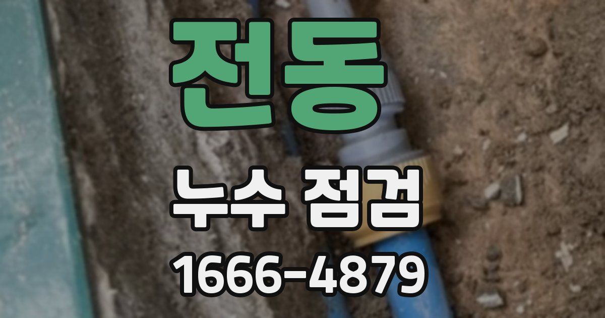 전동 누수 점검