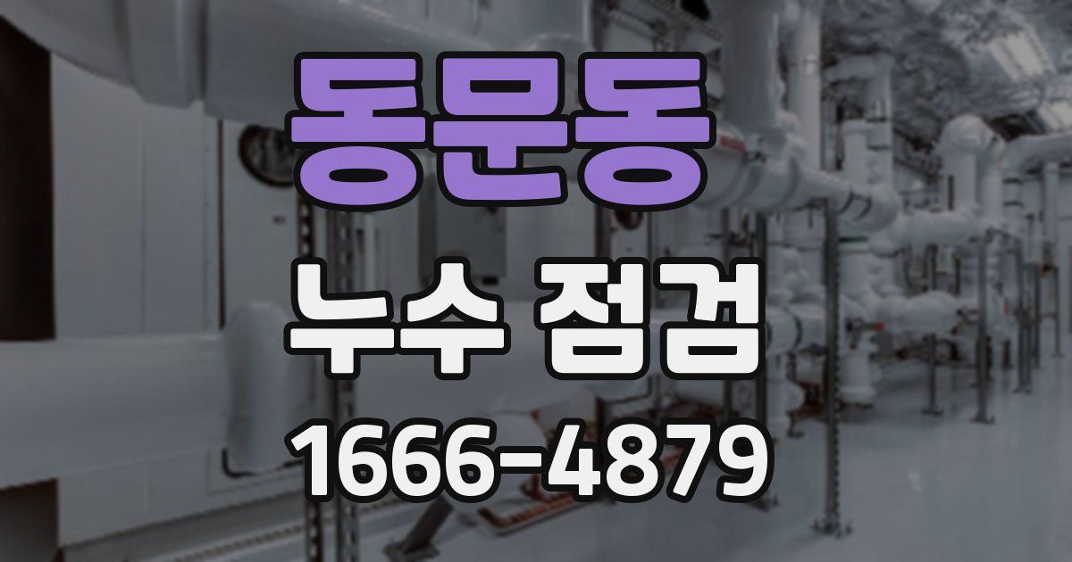 동문동 누수 점검