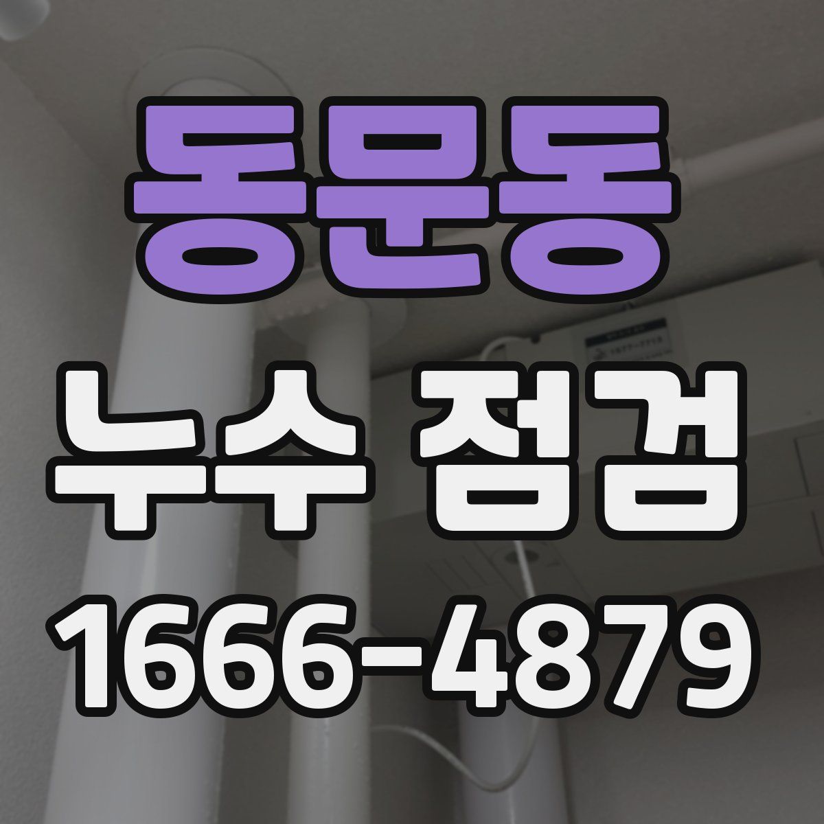 동문동 누수 점검