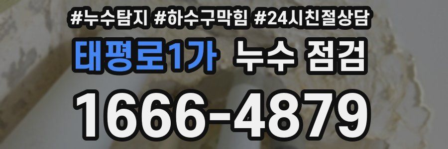 태평로1가 누수 점검