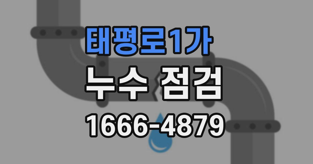태평로1가 누수 점검