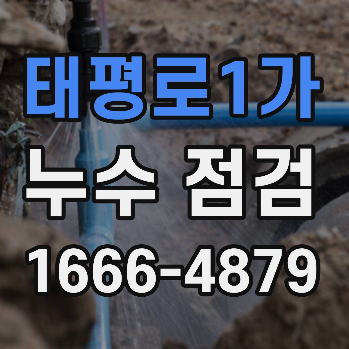 태평로1가 누수 점검