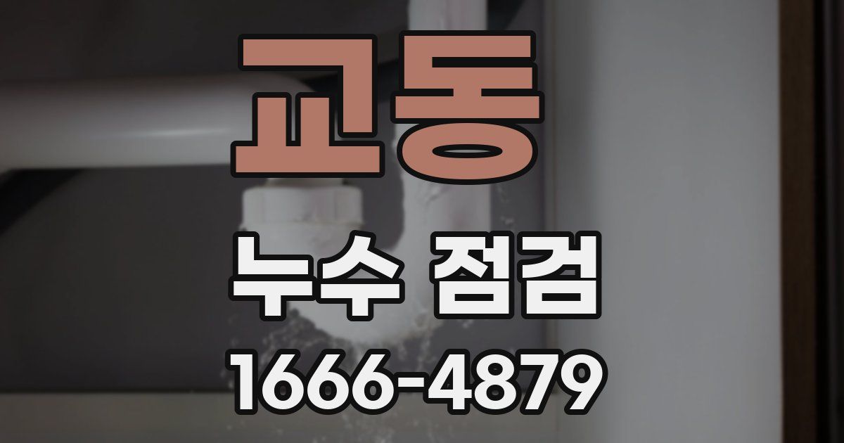 교동 누수 점검