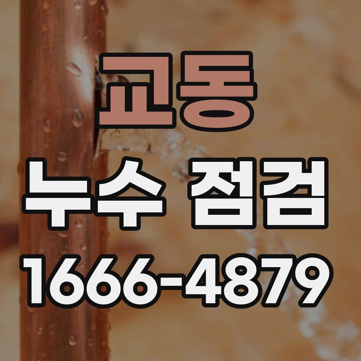 교동 누수 점검