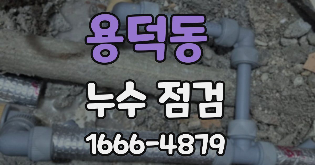 용덕동 누수 점검