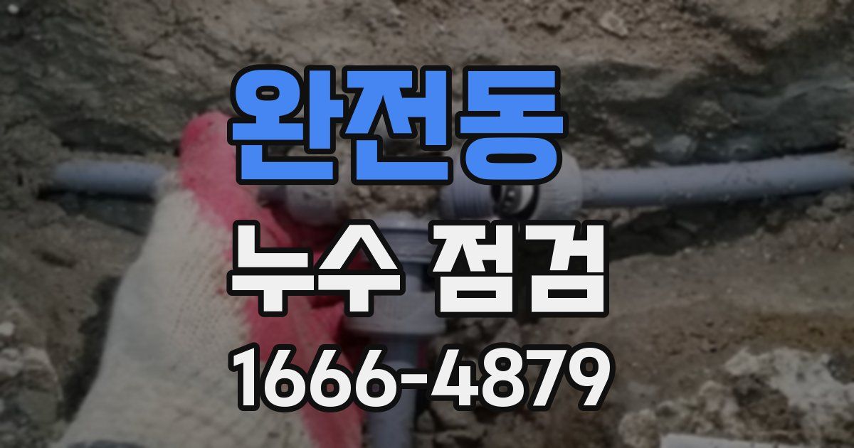 완전동 누수 점검