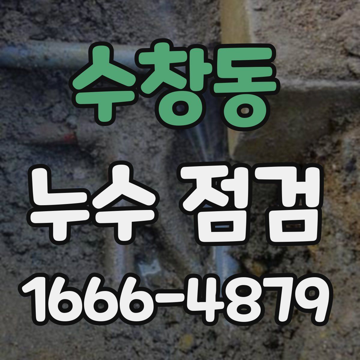 수창동 누수 점검