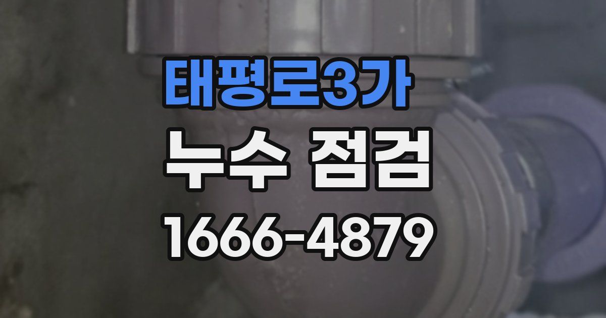 태평로3가 누수 점검