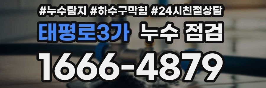 태평로3가 누수 점검