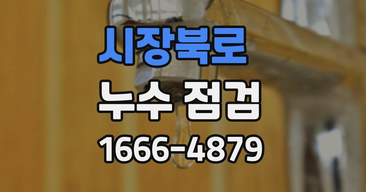 시장북로 누수 점검