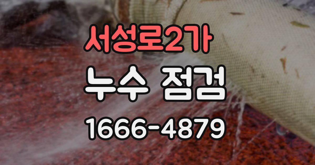 서성로2가 누수 점검