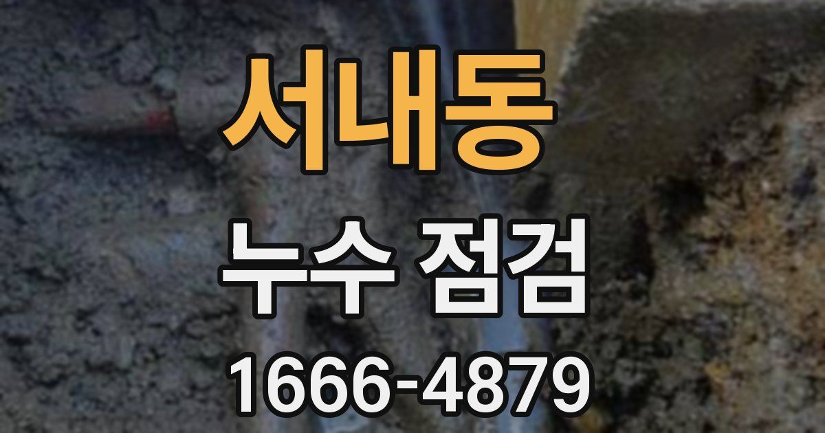 서내동 누수 점검