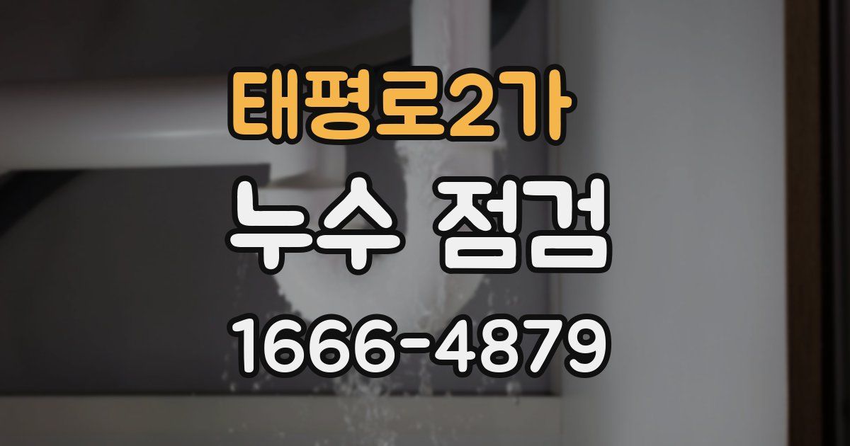 태평로2가 누수 점검