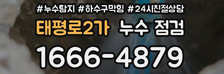태평로2가 누수 점검