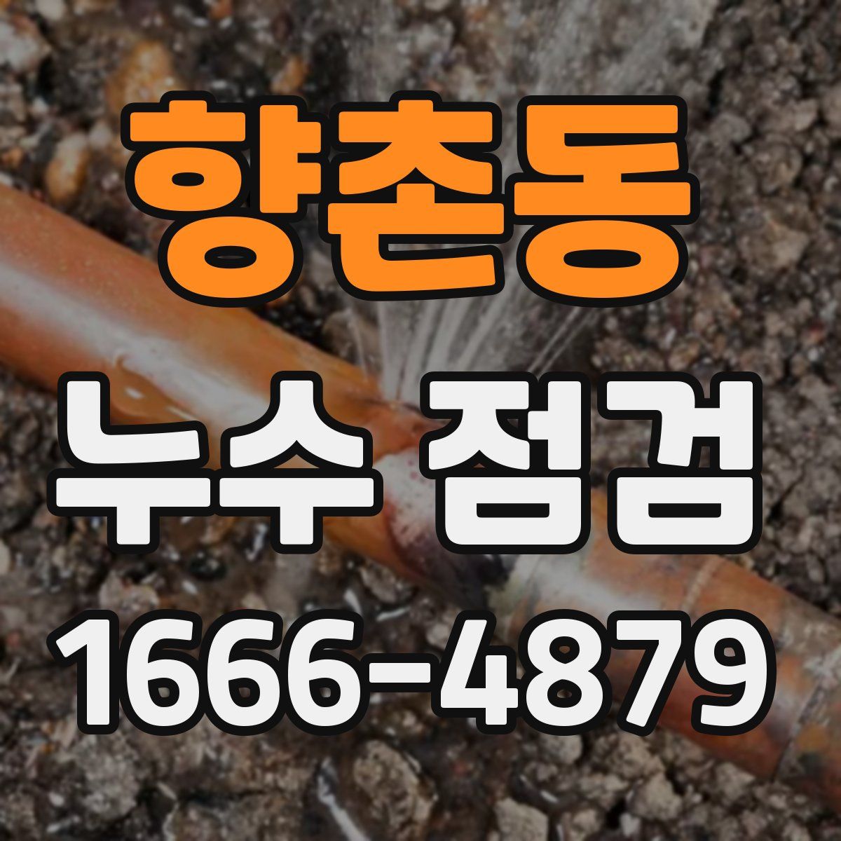 향촌동 누수 점검