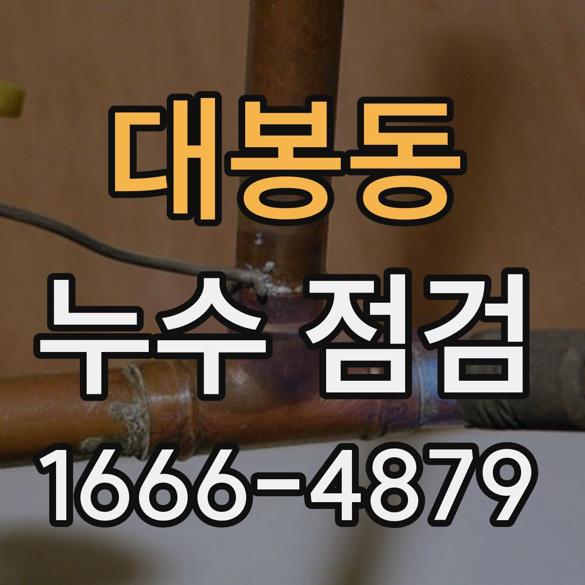 대봉동 누수 점검