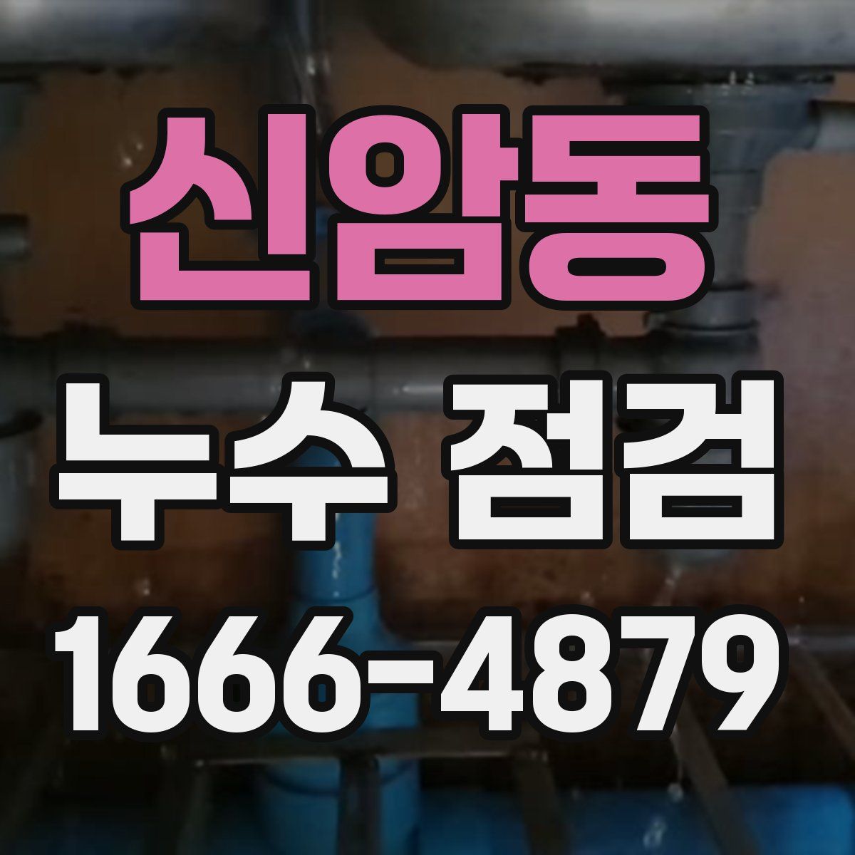 신암동 누수 점검