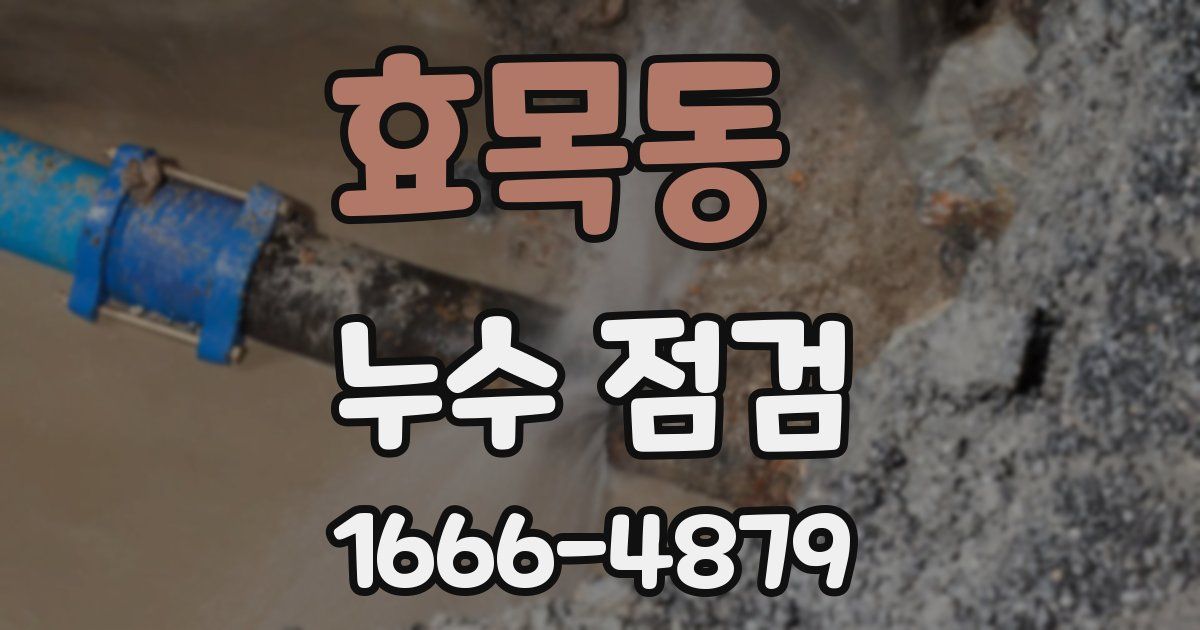 효목동 누수 점검