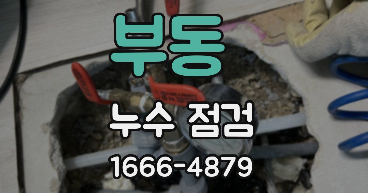 부동 누수 점검