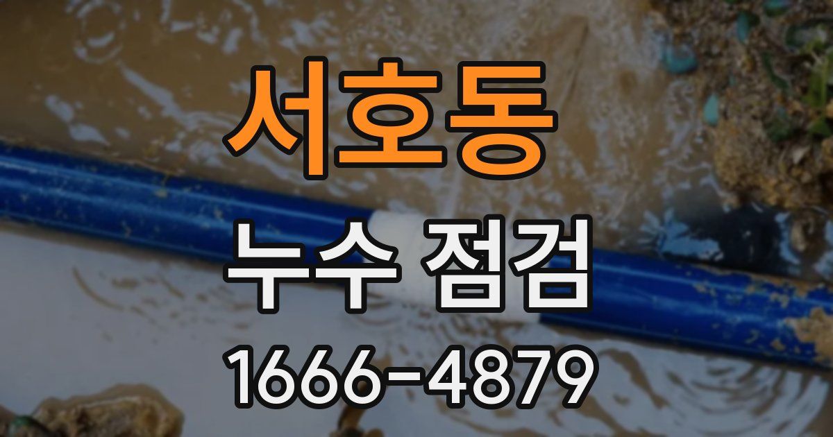 서호동 누수 점검